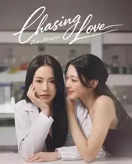 电视剧《追逐爱情》剧情概述
