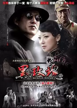 《黑玫瑰》电视剧剧情介绍
