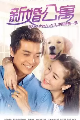 电视剧新婚公寓剧情介绍