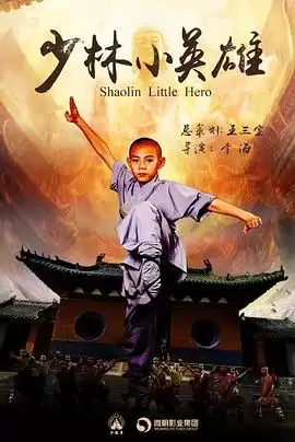 电视剧《少林小英雄》剧情简介