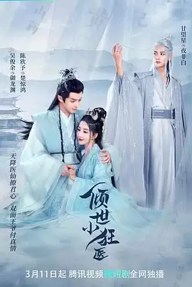 电视剧《倾世小狂医》剧情简述