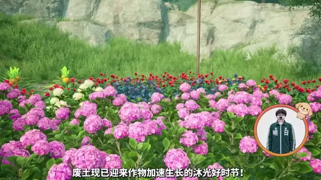 盛夏沐阳绿意愈浓
