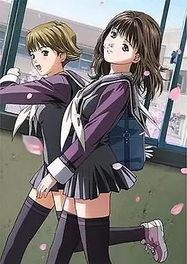 动漫《I"s 夏日物语》剧情介绍