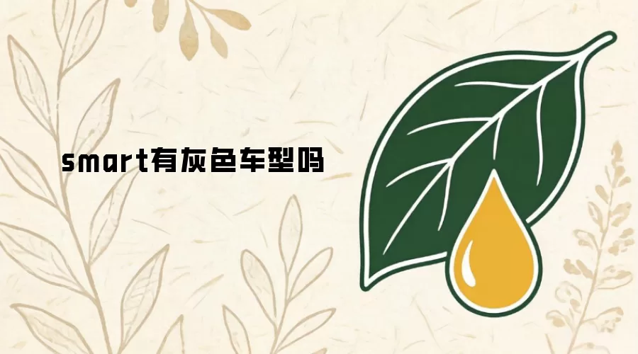 smart有灰色车型吗