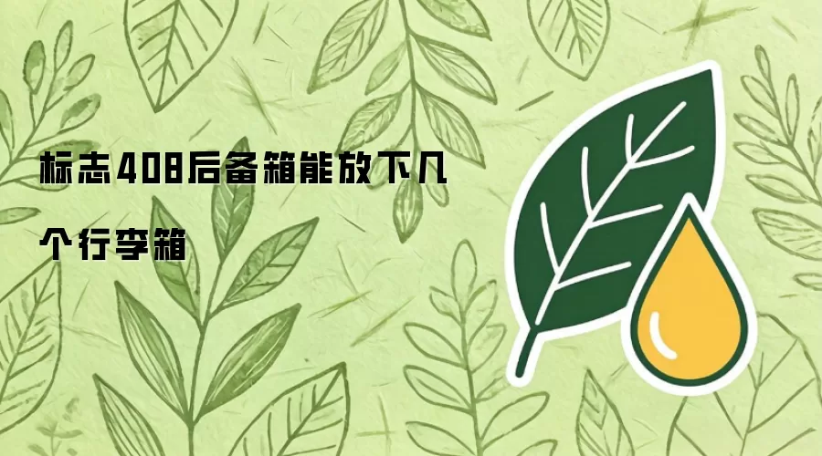 标志408后备箱能放下几个行李箱