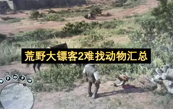 荒野大镖客2难找动物汇总