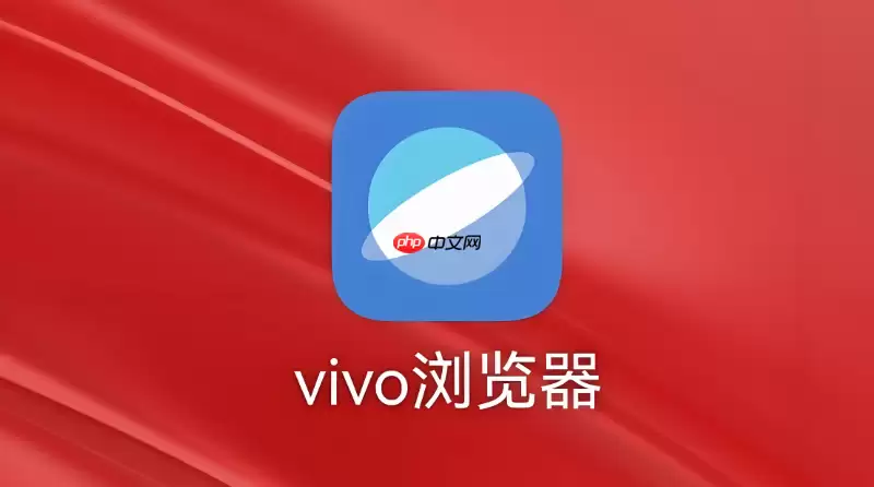 vivo浏览器如何查看网页加载性能的具体耗时数据