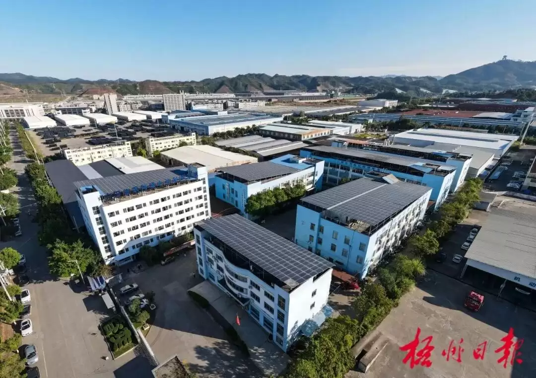 梧州市56家企业跻身高新技术企业培育库