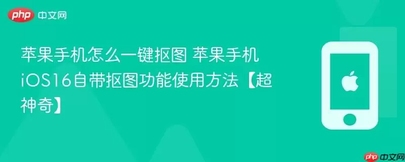 苹果手机怎么一键抠图 苹果手机iOS16自带抠图功能使用方法超神奇