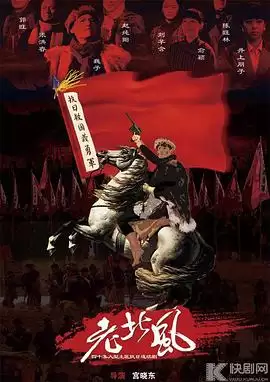 电视剧《义勇义勇》剧情介绍：