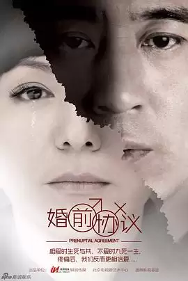 《婚前协议》电视剧剧情介绍