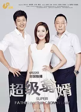 电视剧超级翁婿剧情介绍