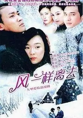 电视剧《像风一样离去》剧情简介