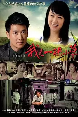 电视剧《我是一棵小草》剧情简介
