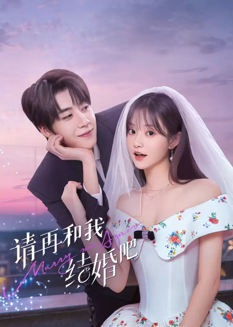 电视剧《请再和我结婚吧》剧情简述
