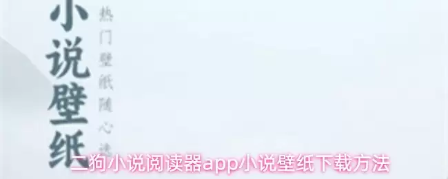 二狗小说阅读器app小说壁纸下载步骤