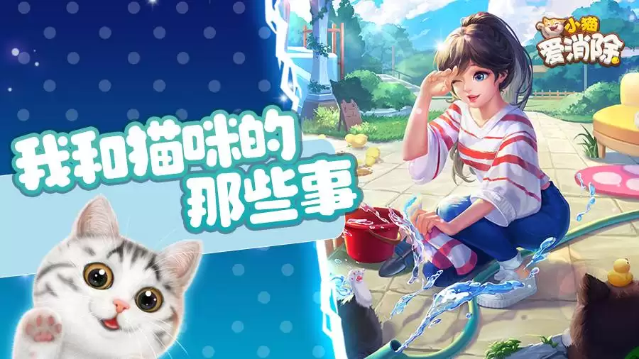 喵喵的结合猫咪属性是啥