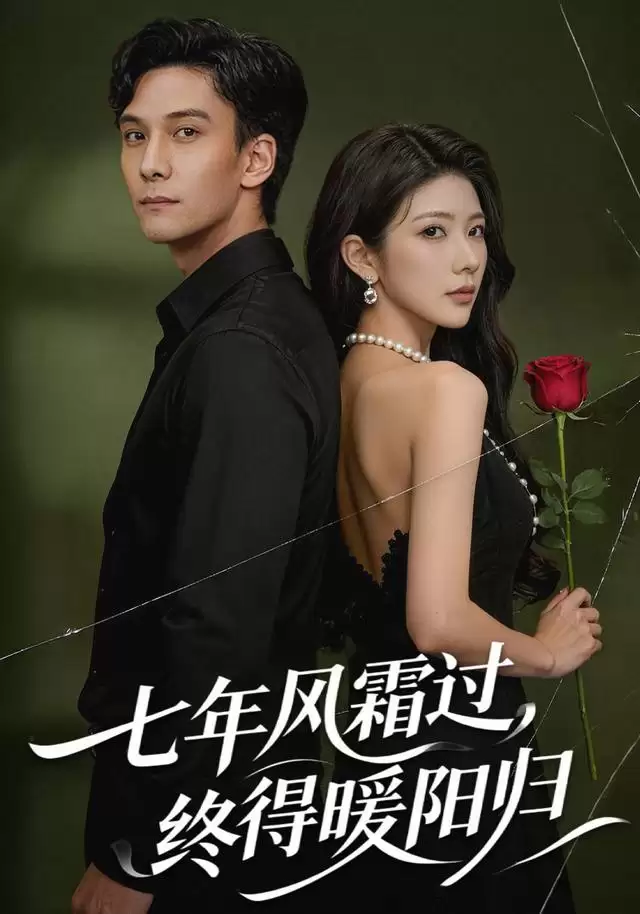 短剧《七年风霜过，终得暖阳归》剧情介绍