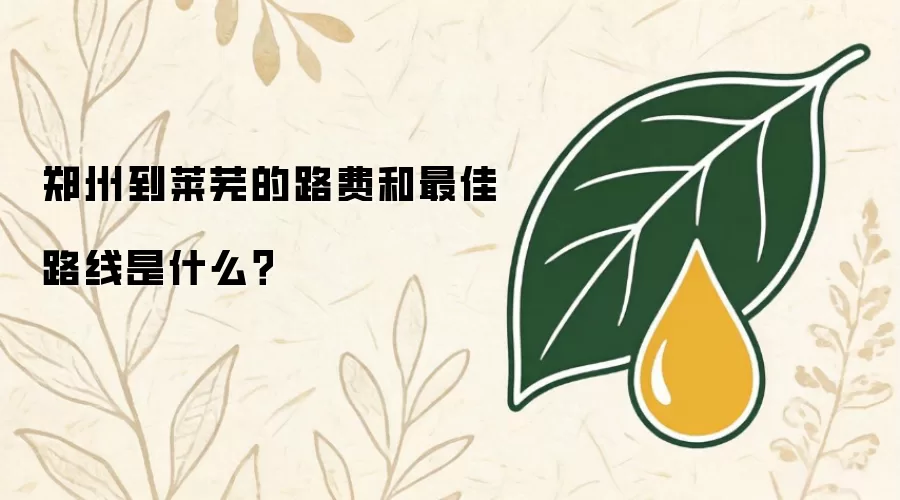 郑州到莱芜的路费和最佳路线是什么？