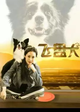 电影《飞盘犬》剧情介绍