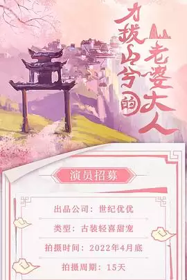 电视剧《力拔山兮的老婆大人》剧情介绍