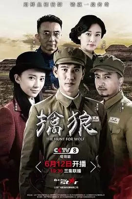 电视剧《擒狼》剧情介绍