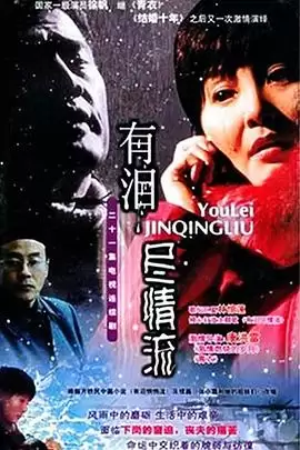 电视剧《有泪尽情流》剧情介绍