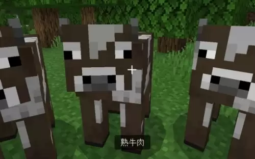 我的世界怎么把生牛肉变熟-mc生牛肉变熟方法