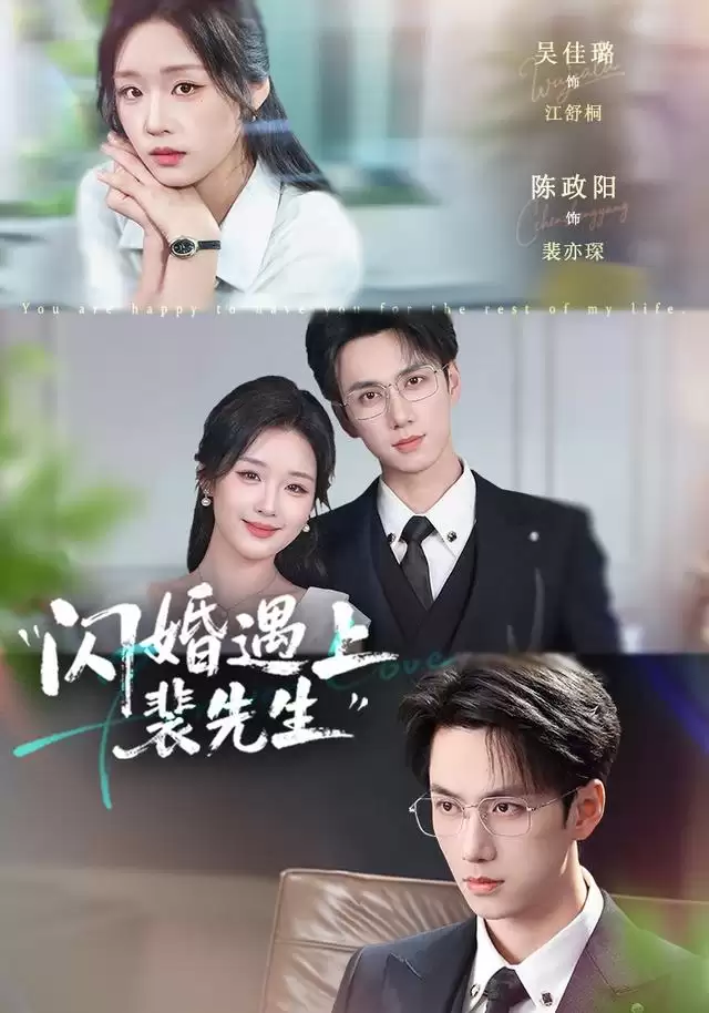 短剧《闪婚遇上裴先生》剧情简介