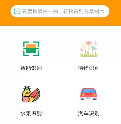 猫品种识别App推荐 精准识别常见及稀有猫咪品种的实用工具