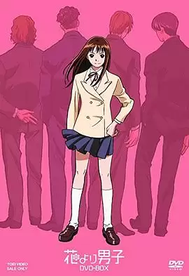 动漫《流星花园 动漫版》剧情介绍