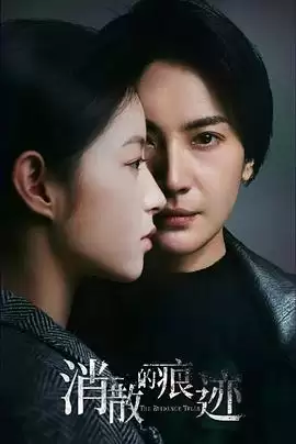 电视剧《消散的痕迹》剧情介绍