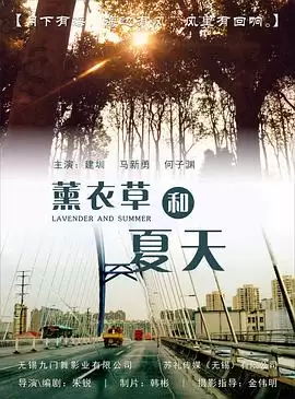 电视剧薰衣草和夏天剧情介绍