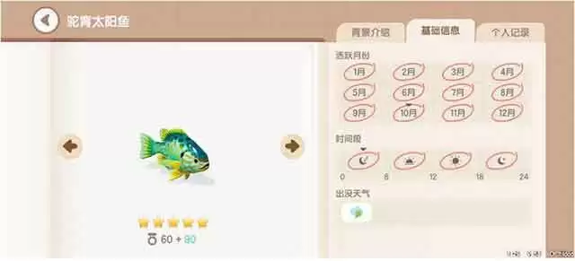 《心动小镇》驼背太阳鱼钓鱼时间地点详解