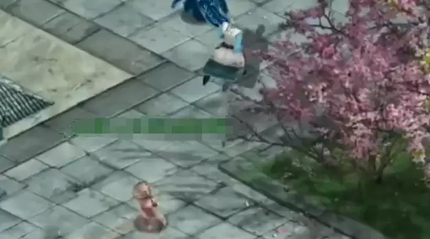 星辰变归来手游氪金程度 星辰变归来手游全面评测与付费机制详解