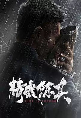 电影《精武陈真电影版》剧情介绍