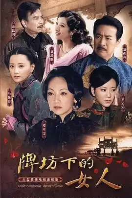 电视剧《牌坊下的女人2009》剧情介绍