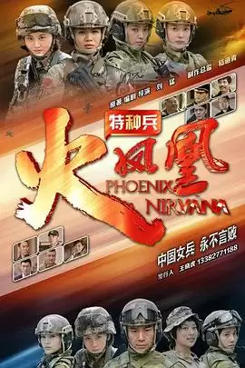 电视剧《特种兵之火凤凰》剧情介绍
