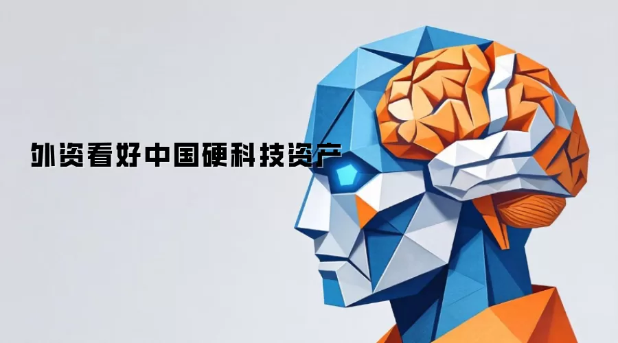 外资力挺中国硬科技资产