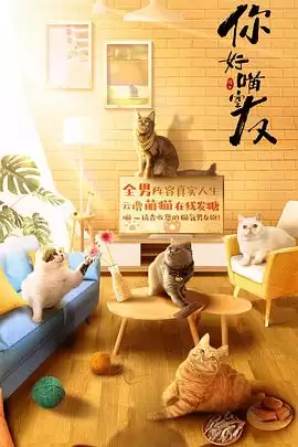 电视剧《你好喵室友》剧情概述