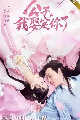 电视剧《公子，我娶定你了》剧情介绍