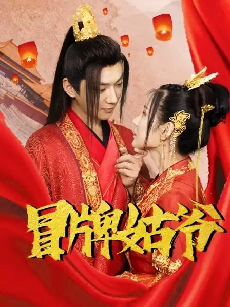 《冒牌姑爷》电视剧剧情介绍