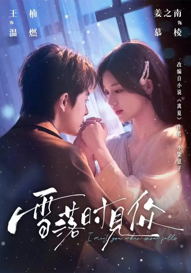 短剧《雪落时见你》剧情介绍