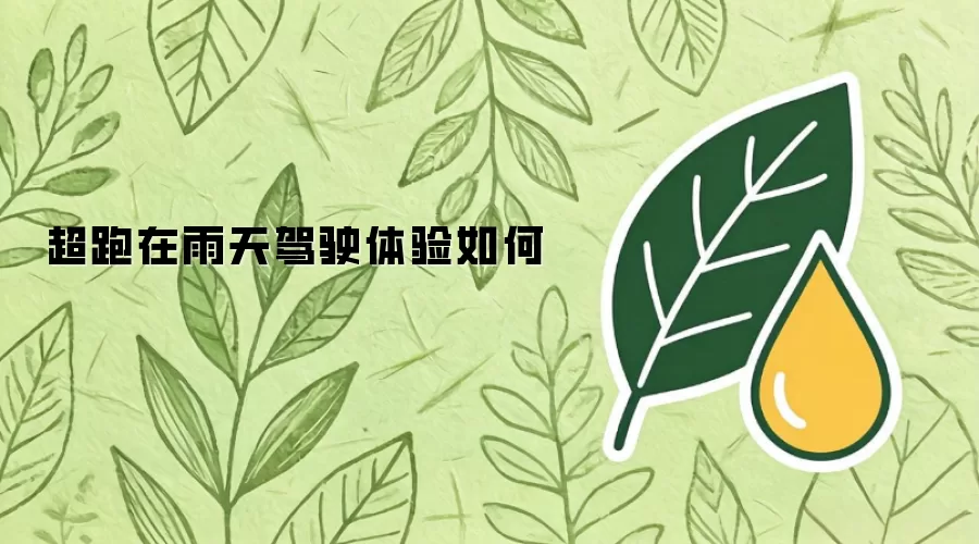 超跑在雨天驾驶体验如何