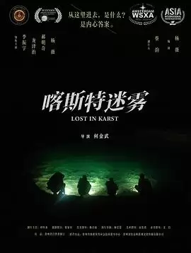 电影《喀斯特迷雾》剧情介绍