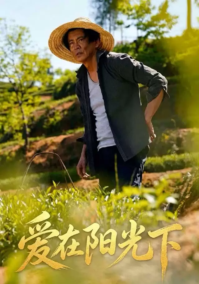 短剧《爱在阳光下》剧情介绍