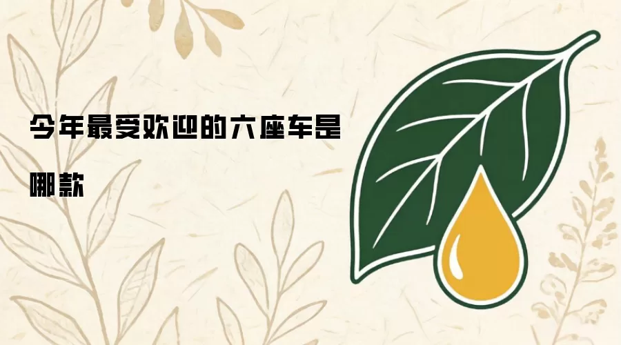 今年六座车最受欢迎的是哪款