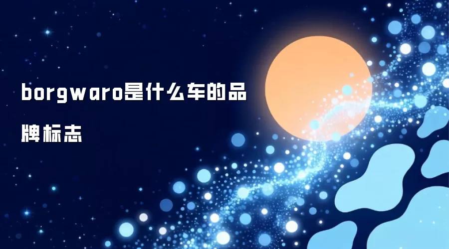 borgwaro是哪款车的品牌标志