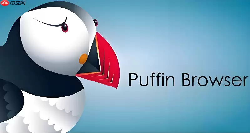 Puffin浏览器网页版网址：Puffin浏览器官方入口