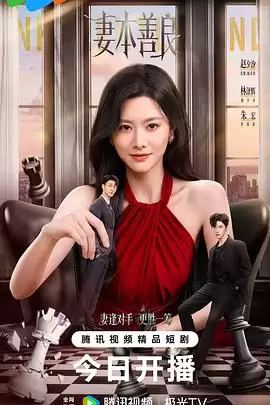 电视剧《妻本善良》剧情简介